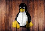 Linux bild med pingvin