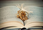 book 3841170 1280