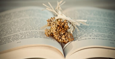 book 3841170 1280