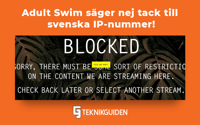 Adult swim sager nej tack till svenska IP nummer