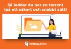 Sa laddar du ner en torrent pa ett sakert och snabbt satt